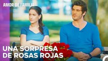 Sé Como Barış Para Enmendar El Error - Amor De Familia