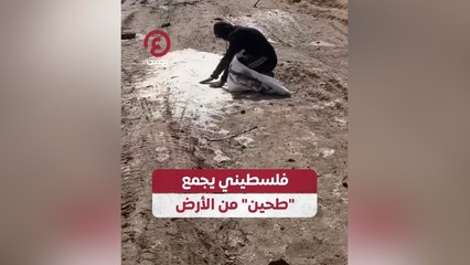 Download Video: فلسطيني يجمع طحين من الأرض