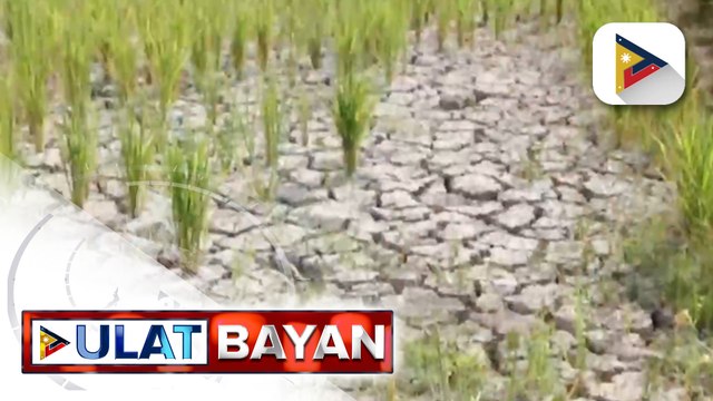 Pamahalaan, puspusan ang pagkilos para mabawasan ang epekto ng El Niño sa bansa