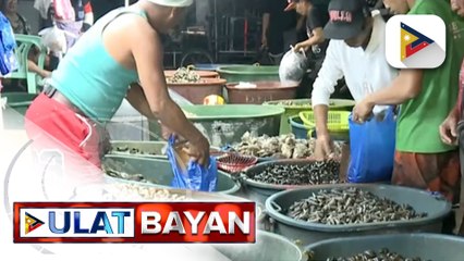 Presyo ng mga shellfish, pinangangambahang tataas dahil sa epekto ng El Niño