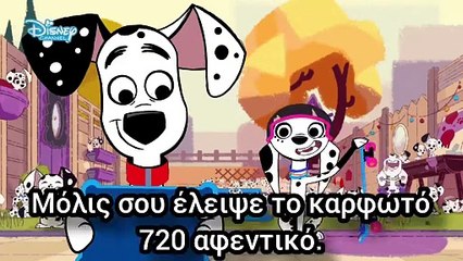 5 Γενέθλια (Ζώα εναντίον Άνθρωποι)