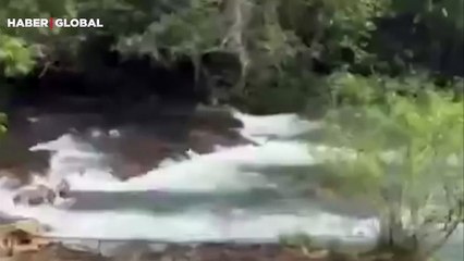 Sıcak su kaynağında keyif yapan anakonda şaşırttı