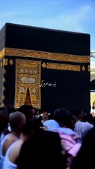 Tere haram ki kya baat Moula   #Islamic Videos # Viral Islamic Videos #Islamic Treasures