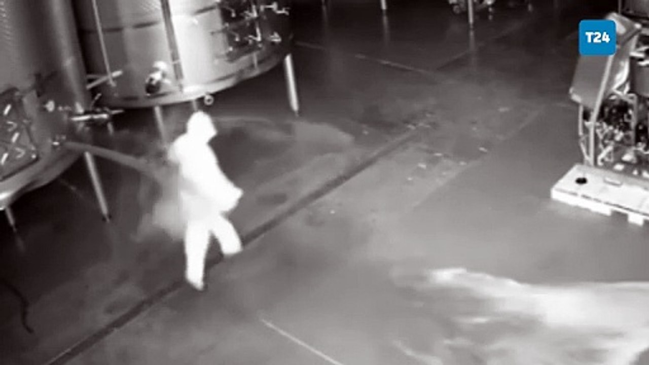 Şarap imalathanesine saldırı: Saldırgan milyonlarca euro değerindeki şarabı gece yarısı döktü