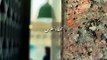 Adab ka اعلیٰ maqam aya   #Islamic Videos # Viral Islamic Videos #Islamic Treasures