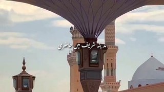 Sarkar qadmon mein bulayein   #Islamic Videos # Viral Islamic Videos #Islamic Treasures