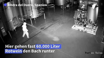 Vandalismus: Fast 60.000 Liter Spitzenwein vernichtet