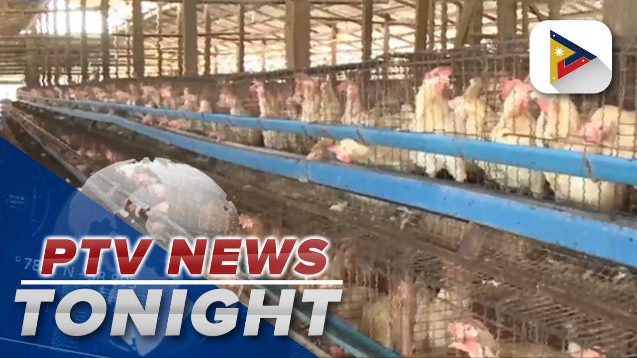 DA declares Benguet avian flu-free 