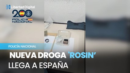 Así desmantelan el primer laboratorio de 'rosin' en España