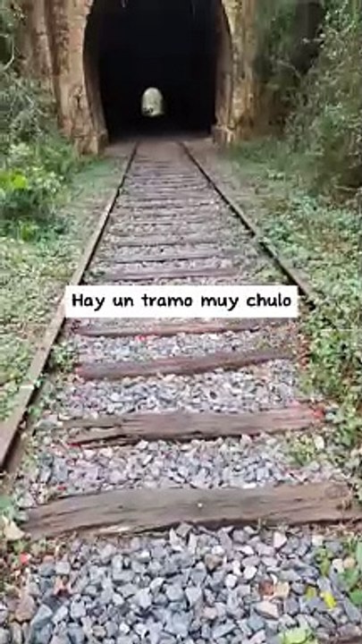Ruta por las vías del tren de El Catllar