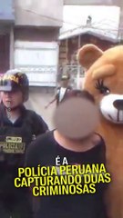 O ursinho que prendeu duas criminosas