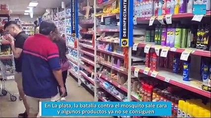 En La plata, la batalla contra el mosquito sale cara y algunos productos ya no se consiguen