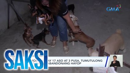 Saksi Part 3: Furmom na may 17 aso at 3 pusa; Pantapat sa cherry blossoms ng Japan