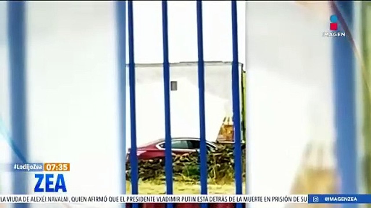 Denuncian el caso de Annie, la elefanta africana confinada en un predio