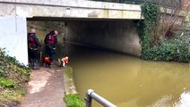 Leicester: Police dogs continue search for missing toddler in River Soar