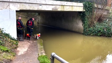 Leicester: Police dogs continue search for missing toddler in River Soar