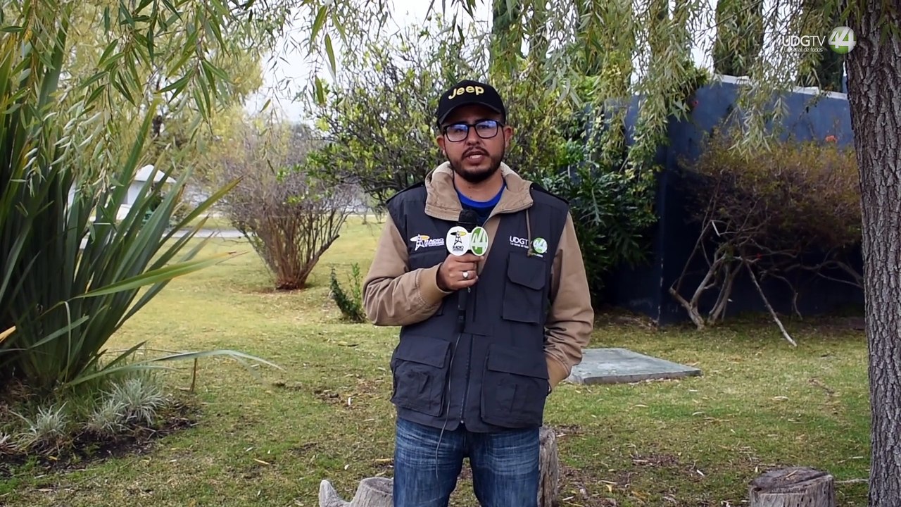 Pronostican sequía y desabasto de agua para consumo humano y ganadero en la zona norte