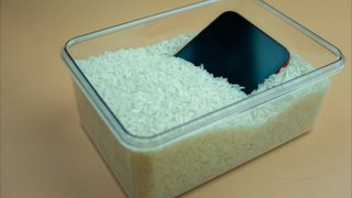 Apple Says Stop Putting Wet iPhones in Rice