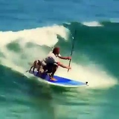 Surfing with my dogs is awesome