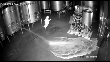 Spagna, sabotatore versa 60.000 litri di vino pregiato RIbera del Duero