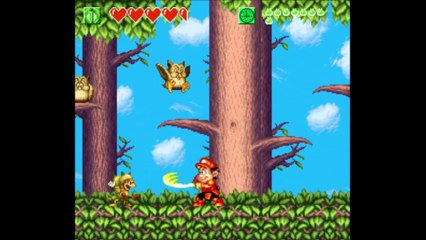 高橋名人の大冒険島Ⅱ　スーパーファミコン（SUPER Famicom）ステージ５＿２　○集め