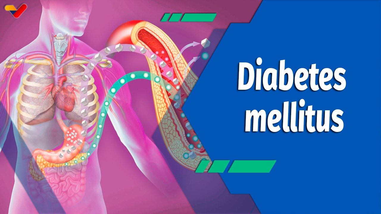 Actitud Saludable | Conozca las características y los síntomas de la diabetes mellitus