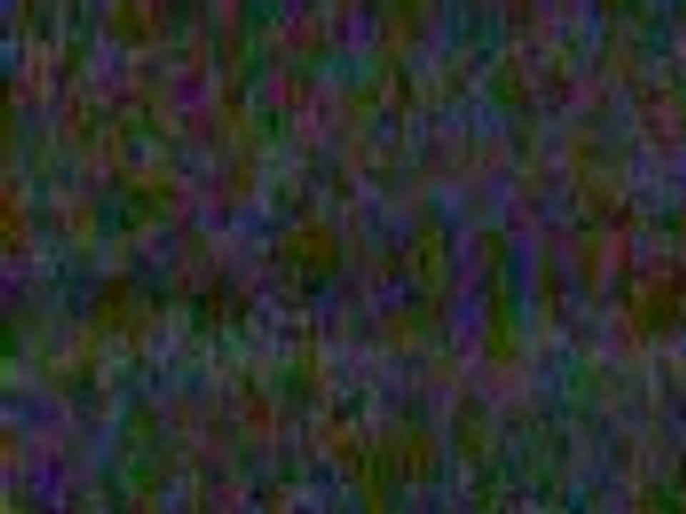 Agression raciste par le Betar ou la LDJ-Radio