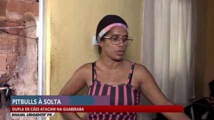 Dupla de cães atacam na Guabiraba