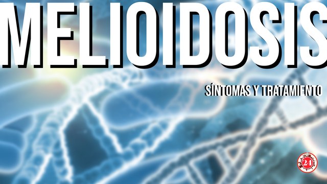 Alerta epidemiológica: ¿Cuáles son los síntomas de la Melioidosis?