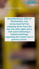 Woolworths CEO Brad Banducci quits top job after trainwreck interview
