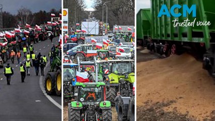 Polish farmers border blockade angers Ukraine