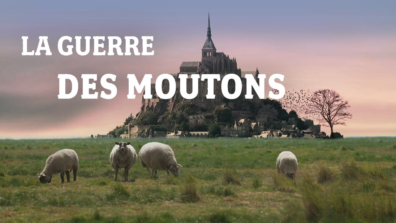 La guerre des moutons