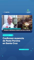 Confirman ausencia de Peste Porcina en Santa Cruz