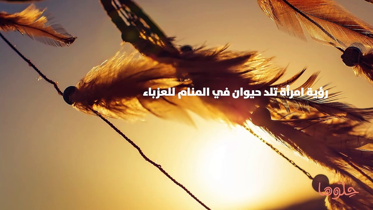 رؤية امرأة تلد حيوان في المنام للعزباء رؤية امرأة تلد حيوان في المنام للعزباء تدل على وجود من يريد بها شر، وإ