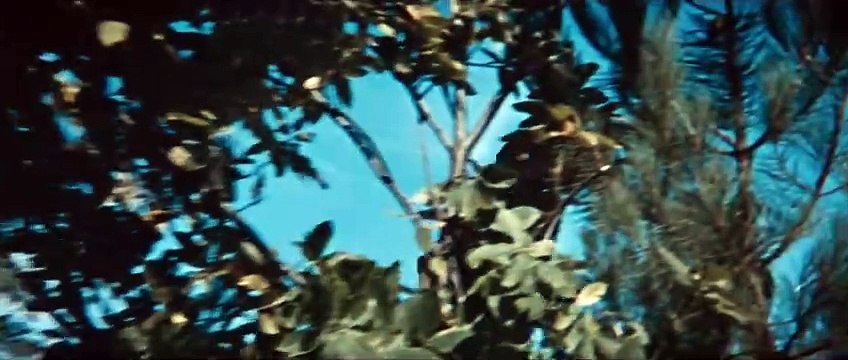 Un homme de trop Bande-annonce (ES)