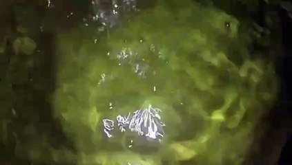 Water as the Source of Life 24