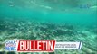 DOJ, handang tumulong sa imbestigasyon ukol sa umano'y cyanide fishing sa Bajo de Masinloc | GMA Integrated News Bulletin