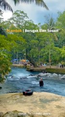 Tempat Wisata Di Lombok YAng Wajib Dikunjungi, Berugak Elen Sesaot