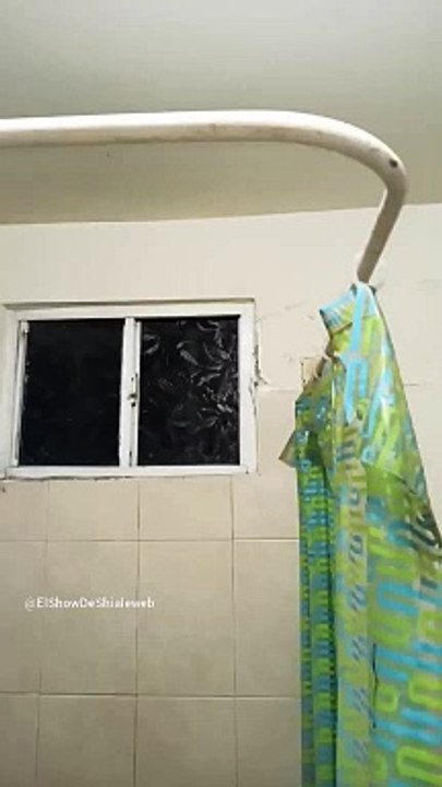 Una #Araña Patona en el baño tambien ahi vive otro aracnido cazador de moscas #shorts #insectos