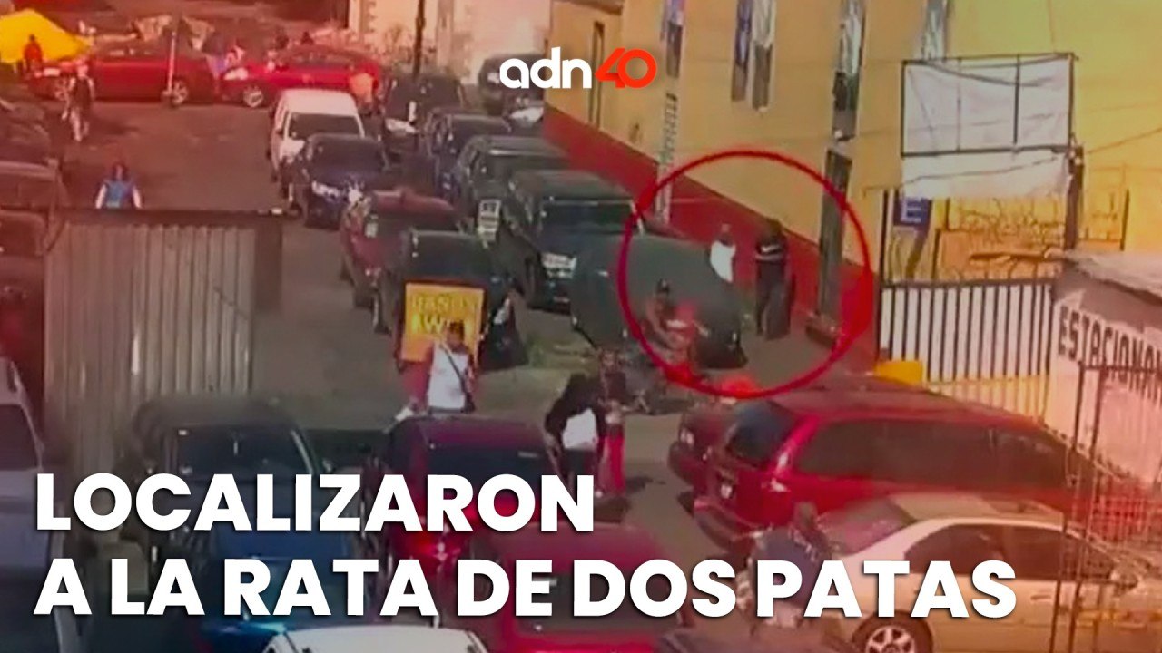 Ratas roban teléfono, pero los polis lograron detenerlos I C40 en Ciudad Desnuda