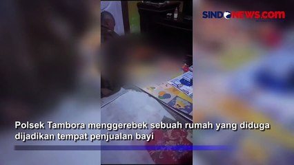 Polisi Gerebek Rumah di Jabar, Diduga Jadi Markas Perdagangan Bayi