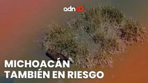 En Michoacán, la sequía redució la fauna y algunas especies desaparecen