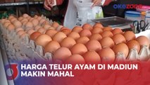 Harga Telur Ayam Terus Naik, Omzet Pedagang Menurun