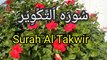 Surah Takwir | Surat-ul-takweer | Quran Tilawat |bubak learn quran
