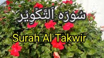 Surah Takwir | Surat-ul-takweer | Quran Tilawat |bubak learn quran