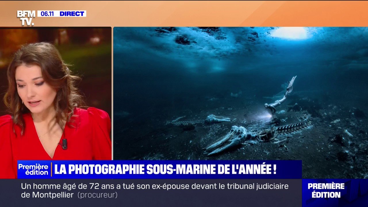 Un Suédois capture des ossements de baleine et...