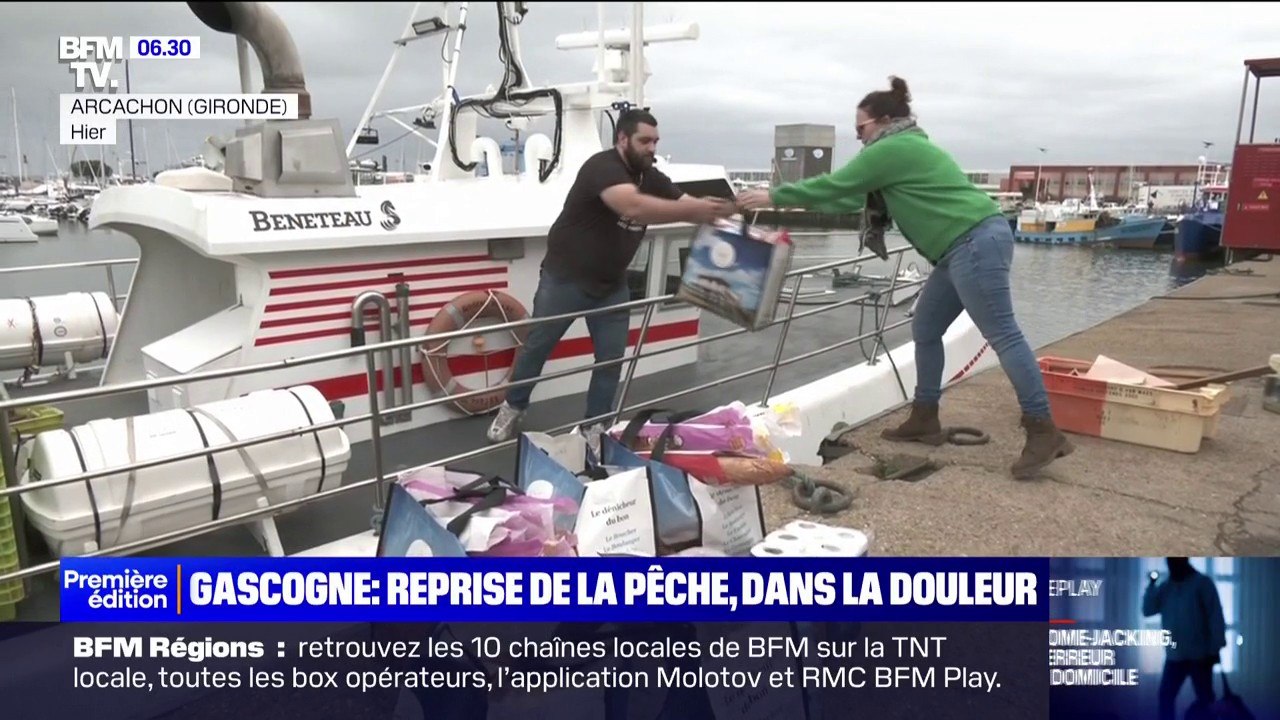 Golfe de Gascogne: retour à l'eau pour les pêcheurs, après un mois à quai pour protéger les dauphins