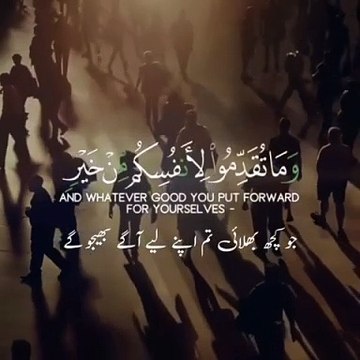 Recitation of Holy Quran. تلاوة القرآن الكريم itation du Saint Coran. Récitation du Saint Coran 0