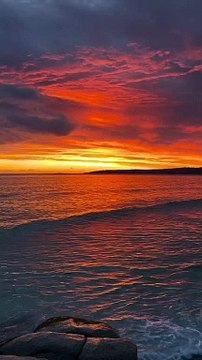 memes... memes .. funny .. try not to laugh .. prank .. people .. funny image .. joke Looking for a good laugh? Follow our page for the funniest memes, videos, and pictures.