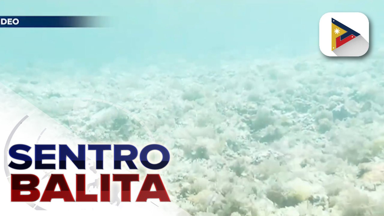 Pilipinas, handang maghain ng reklamo sa oras na mapatunayan ang cyanide fishing ng ilang dayuhan sa Bajo de Masinloc ayon kay PBBM